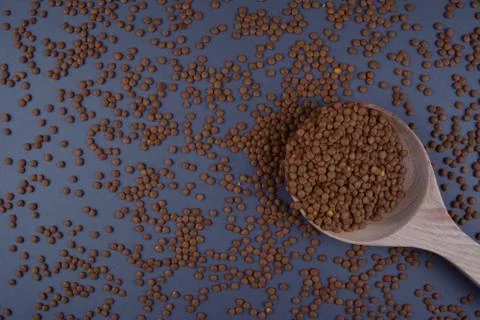 Lentils in spoon on dark background. Stock Photos