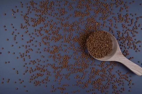 Lentils in spoon on dark background. Stock Photos