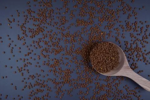 Lentils in spoon on dark background. Stock Photos