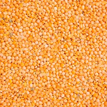 Lentils texture background or pattern. Raw food. Stock Photos