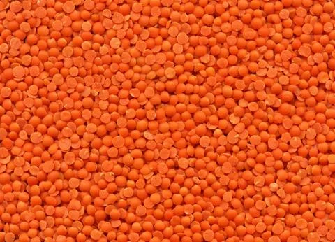 Lentils texture Foto stock