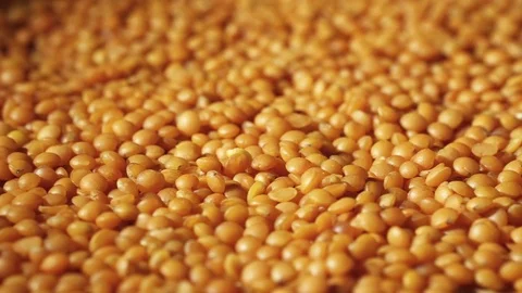 Lentils turnig around Stock Footage 84818524