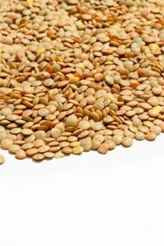Lentils on white background Stock Photos
