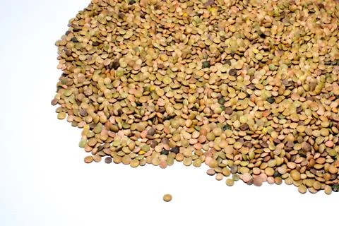 Lentils on white Stock Photos