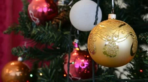 LEO 7493 Stock Footage 16134401