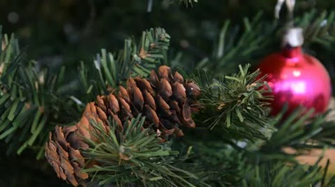 LEO 7498 Stock-Footage 16133074