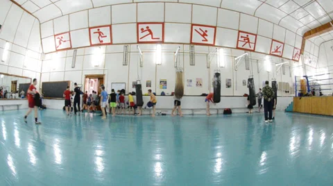 LEO 8747 Stock-Footage 34363481