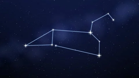 Leo constellation drawing itself with glowing lines on a deep navy starry night Stock-Footage 348624186
