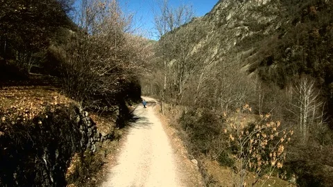 Leo corre valle Stock Footage 101226860