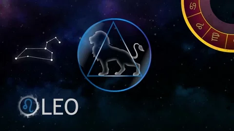 Leo Stock Footage 171402057