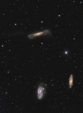 Leo triplet Stock Photos