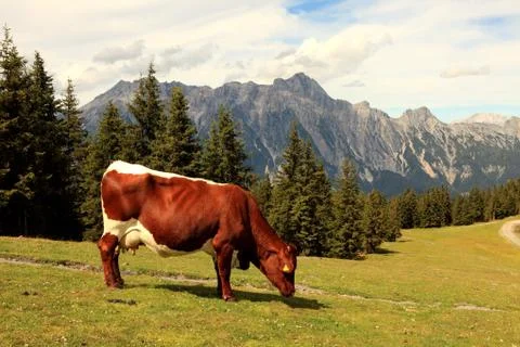 Leogang Stock Photos