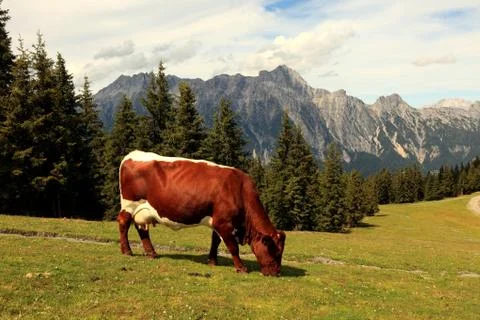 Leogang Stock Photos