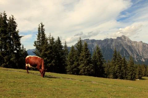 Leogang Foto stock