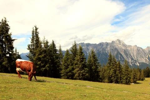 Leogang Foto stock