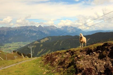 Leogang Stock Photos