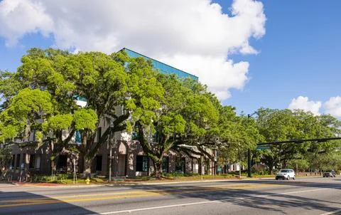 Leon County Stock Photos