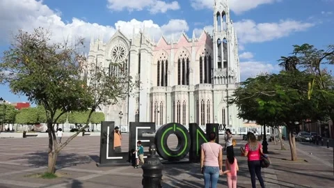 Leon 스톡 동영상 164456299