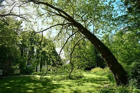 The Leonardo da Vinci Park at the Clos Luce Castle Stock Photos