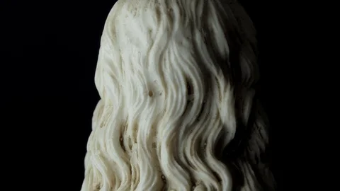 Leonardo Da Vinci rotating on a black background Stock-Footage 123406046