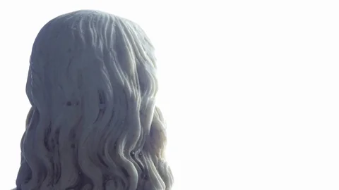Leonardo Da Vinci rotating on bright white background Stock-Footage 123406740