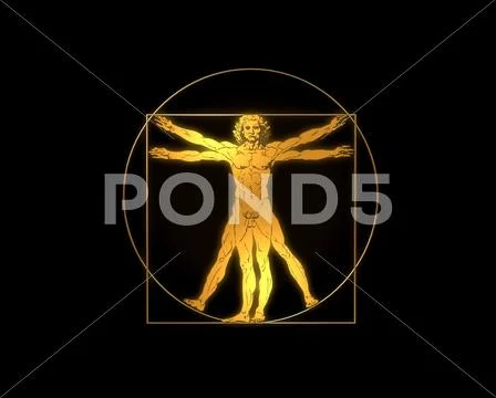 Leonardo Davinci - the Vitruvian man Stock Illustration