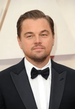  Leonardo DiCaprio Leonardo DiCaprio at the 92nd Academy Awards held at th... Stock Photos