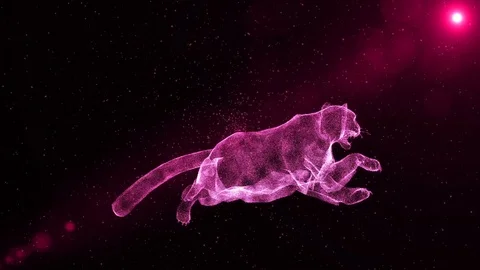 Leopard, abstract wild animal running through particles, 3D animated scene Stock Footage 85435521
