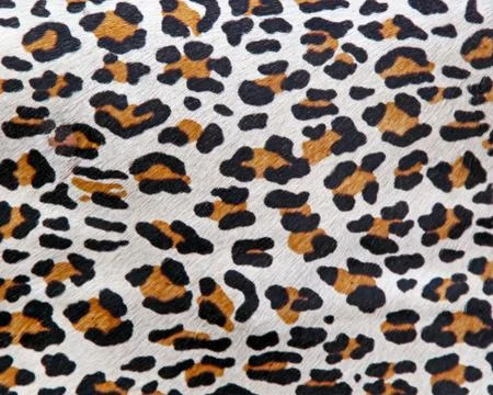 Leopard Animal Pattern 스톡 사진