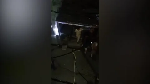 Leopard attacks man after straying into residential area in Mangrol, India Stock Footage 276892695