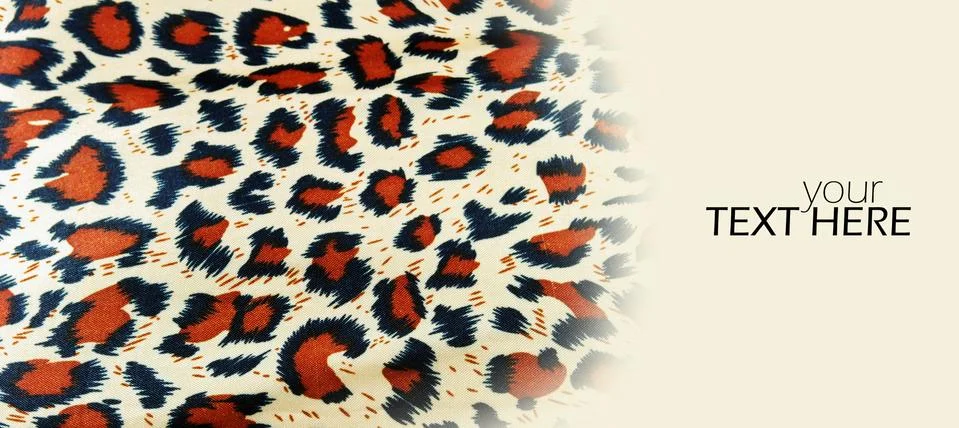 Leopard background with the copy space Stock-Fotos