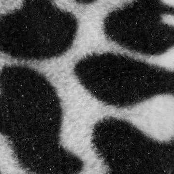 Leopard background Stock Photos