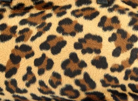 Leopard background Stock Photos