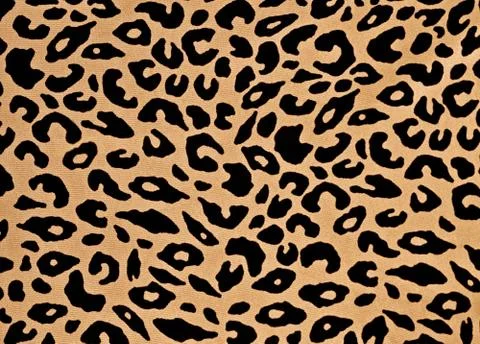 Leopard background Stock Photos