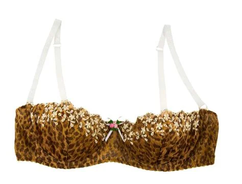 Leopard bra with flowers Stock-Fotos