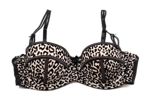 Leopard bra Stock Photos