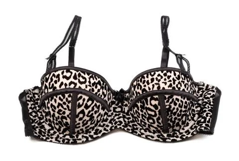 Leopard bra Push up bra with black lace and leopard print. Isolate on whit... Stock Photos