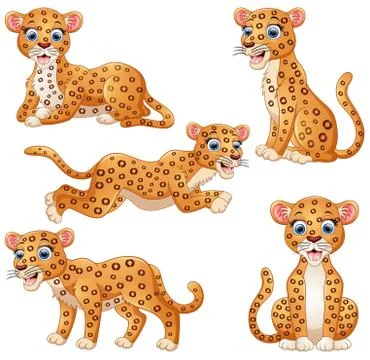 Leopard cartoon set collection イラスト素材