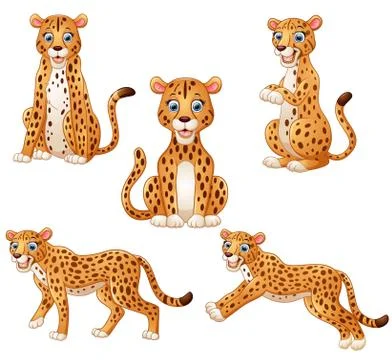 Leopard cartoon set collection 스톡 일러스트