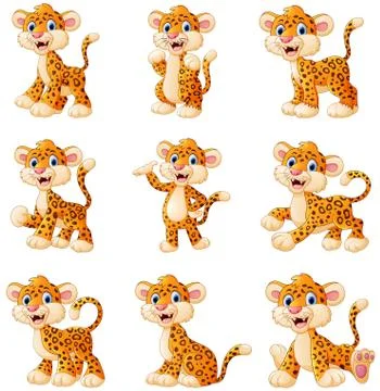 Leopard cartoon set collection 스톡 일러스트