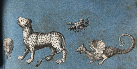 A leopard (?), a cow and two dragons. Cut-out engravings pasted onto paper,.. Stock Illustration