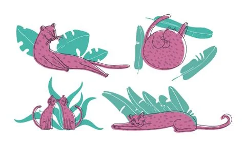 Leopard Curling Up on Palm Leaves Vector Set. Stylized Funny African Animal. Stock Illustration