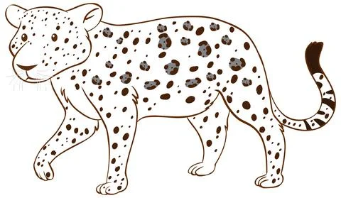 Leopard in doodle simple style on white background 스톡 일러스트