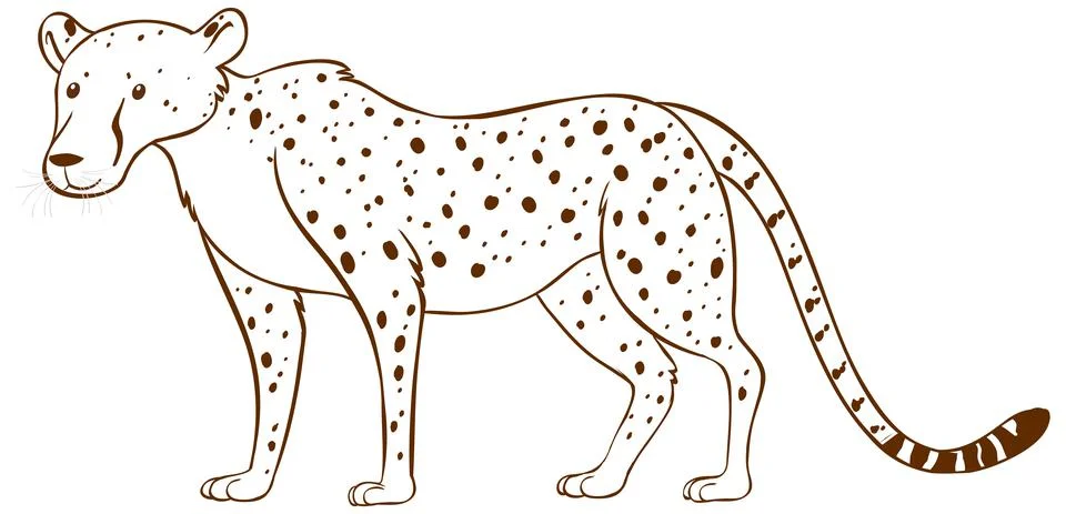 Leopard in doodle simple style on white background 스톡 일러스트