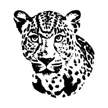 Leopard Face Black and White Vector Illustration Stock Illustration