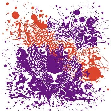 Leopard face Stock Illustration
