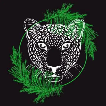 Leopard face Stock Illustration