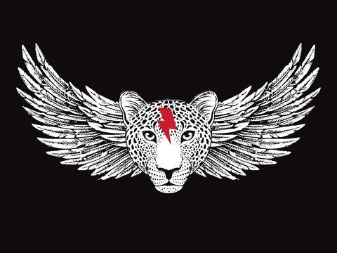 Leopard face  Stock Illustration