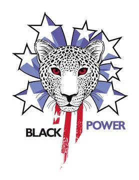 Leopard face Stock Illustration
