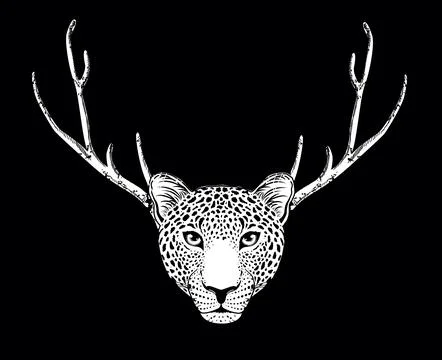 Leopard face Stock Illustration